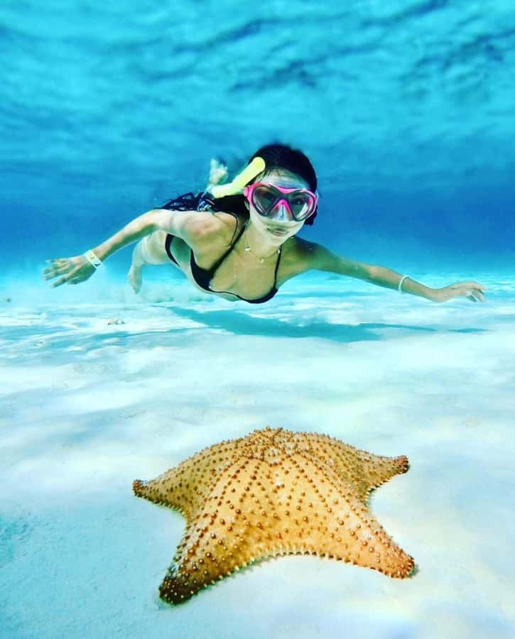 El Cielo and El Cielito in Cozumel with Beach Club, Food, and Open Bar - Key points to know before booking