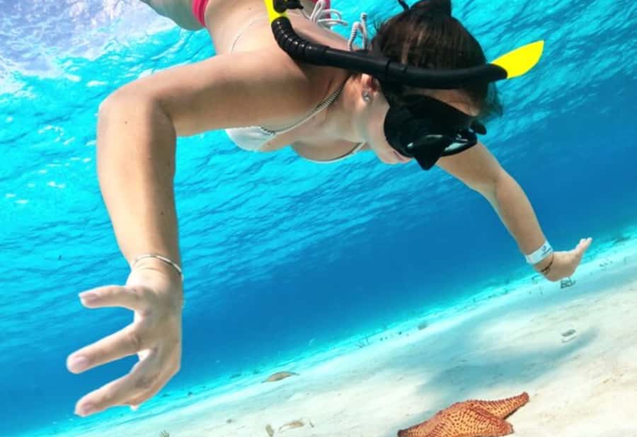 El Cielo and El Cielito in Cozumel with Beach Club, Food, and Open Bar - El Cielito offers an easier hour by the shore