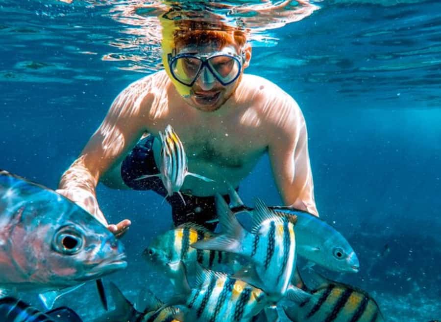 El Cielo and El Cielito in Cozumel with Beach Club, Food, and Open Bar - Is $180 a fair price for this Cozumel tour?