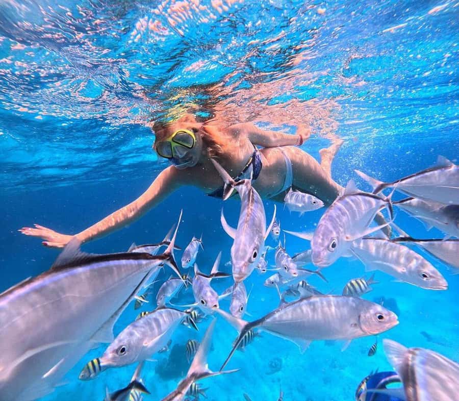 El Cielo and El Cielito in Cozumel with Beach Club, Food, and Open Bar - How the timing affects your enjoyment