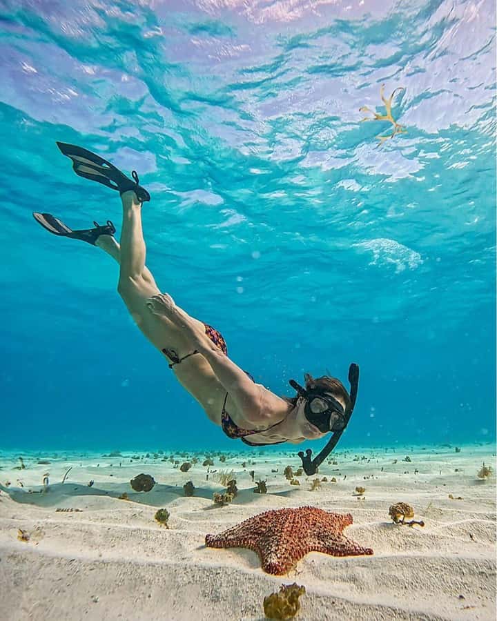 El Cielo and El Cielito in Cozumel with Beach Club, Food, and Open Bar - Palancar Reef gives you the most active water stop