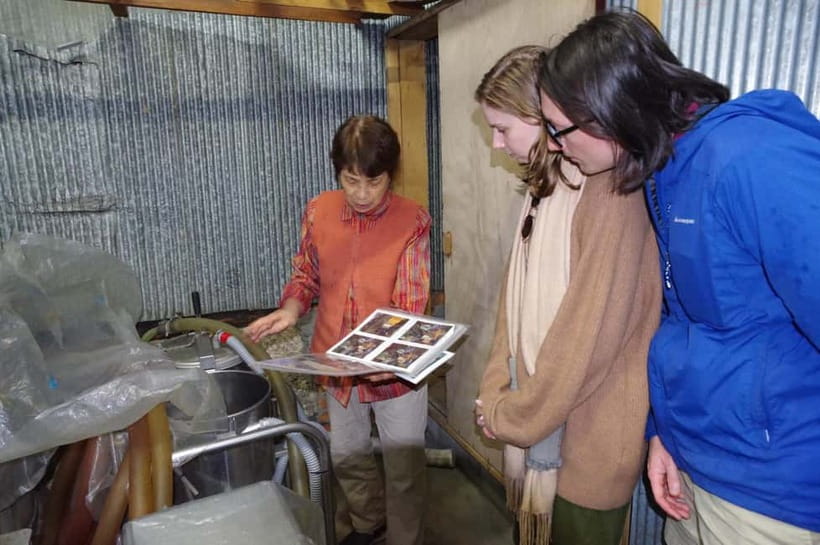 Explore Matsumoto: Castle, Sake & Taste of Local Life - Who should book this Matsumoto walk?