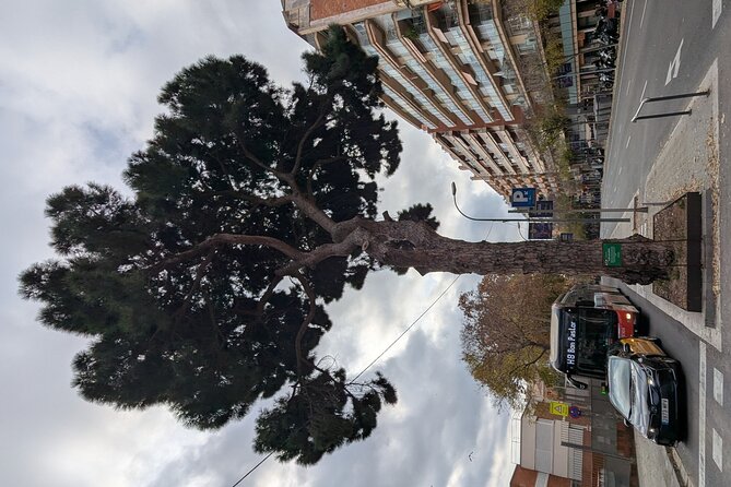 FC Barcelona History Immersive Walking Tour - Beer Included - Les Corts Cemetery and Barça memory