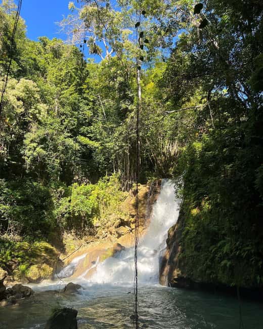 Floyd’s Pelican Bar, Ys Falls and Black River Safari Tour - Black River Safari: crocodiles and mangrove channels