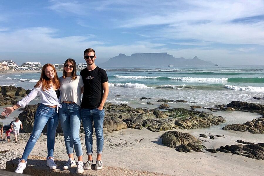 From Cape Town: Wildlife Safari, Olive, Beer & Wine Tasting - Is the $432 price fair?