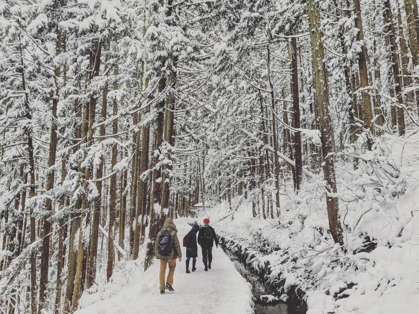 From Nozawa Onsen: Snow Monkeys and Zenko-ji Day Trip & Sake - Key points at a glance