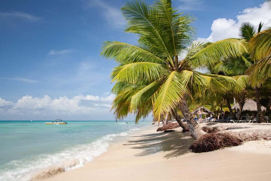 From Punta Cana: Catamaran Tour to Saona Island with Open Bar and Buffet - Key points to know before booking