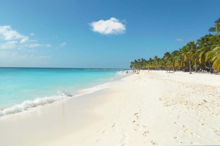 From Punta Cana: Catamaran Tour to Saona Island with Open Bar and Buffet - Practical ways to enjoy the day