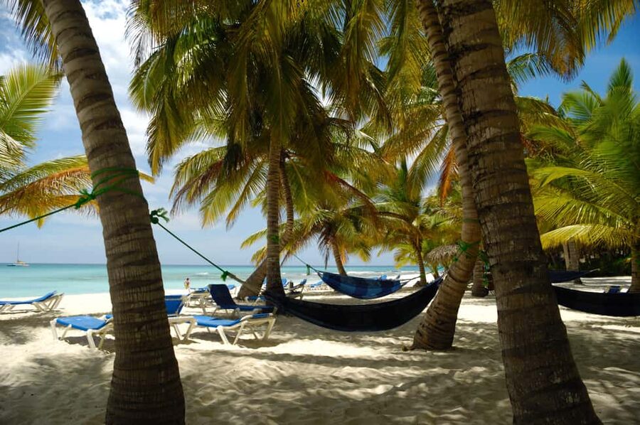 From Punta Cana: Catamaran Tour to Saona Island with Open Bar and Buffet - Dominican buffet lunch and the open bar