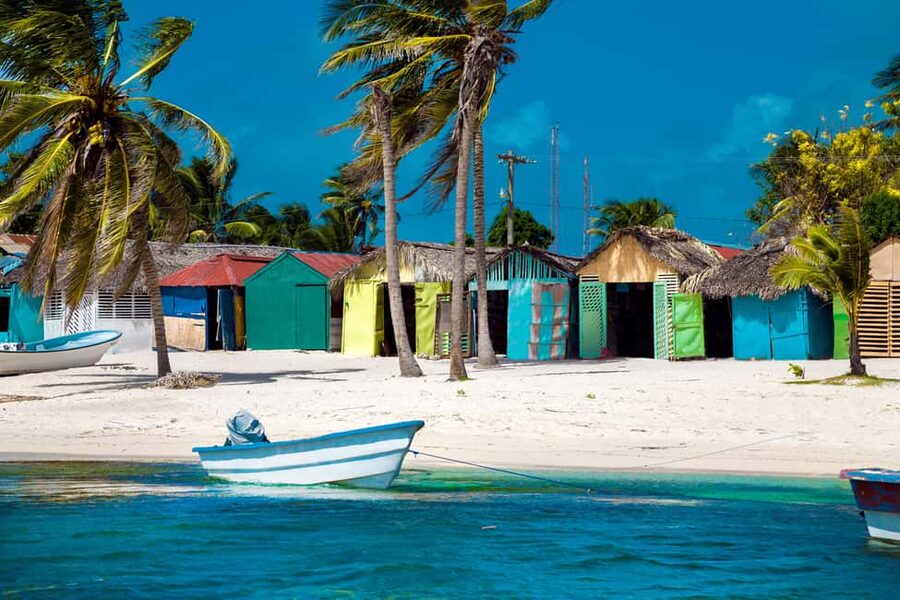 From Punta Cana: Catamaran Tour to Saona Island with Open Bar and Buffet - The return journey and the day’s rhythm