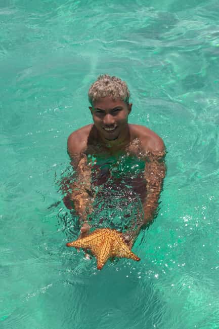 From Punta Cana: Catamaran Tour to Saona Island with Open Bar and Buffet - Who will enjoy this Saona day trip most