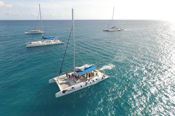 From Punta Cana: Saona Island & Altos de Chavon Day Trip with Lunch and Open Bar - Guides, language, and group size