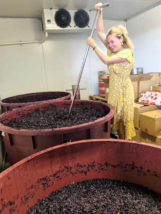 From Sydney: Hunter Valley Beer & Wine Group Tour - Why This Hunter Valley Day Works
