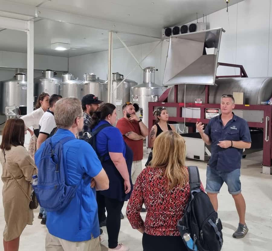 From Sydney: Hunter Valley Beer & Wine Group Tour - Leaving Sydney and Settling Into the Group
