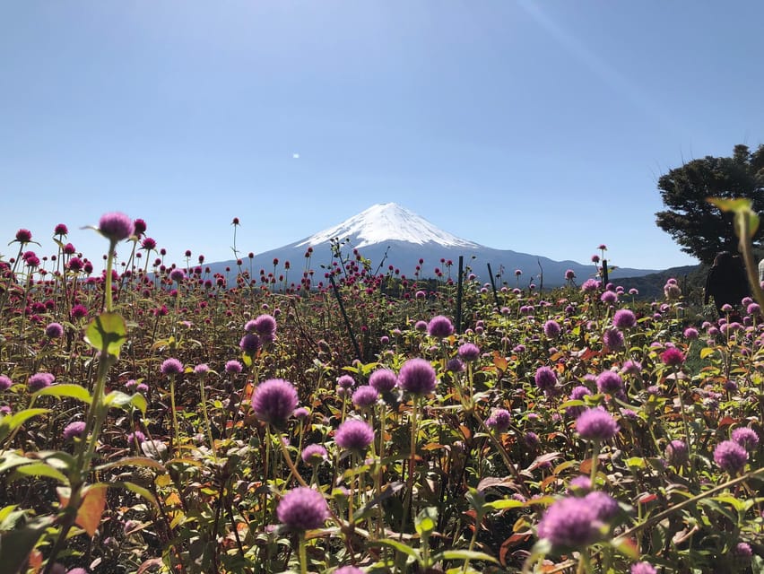 From Tokyo: Mount Fuji, Cruise and Sake Tour - Transport, group size, and the long return to Tokyo