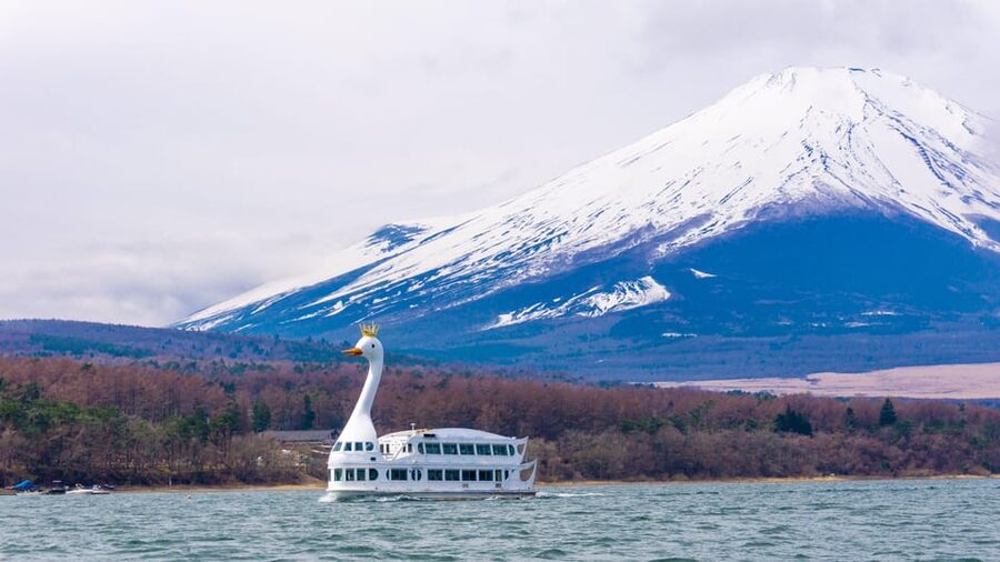 From Tokyo: Mount Fuji, Cruise and Sake Tour - Lake Yamanaka and 75 minutes on the Swan Boat