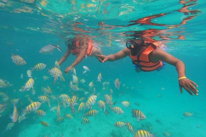 Full Day ATV Experience and Booze Cruise with Open Bar - What the party boat feels like
