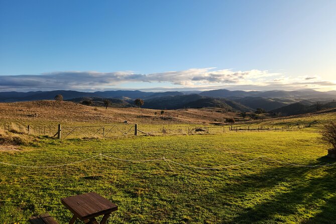 Full-Day Canberra Brewery, Wineries & Distillery tour /w lunch - BentSpoke Brewing Co. closes with Canberra beer