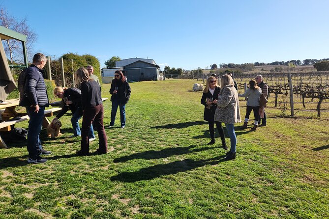 Full-Day Canberra Brewery, Wineries & Distillery tour /w lunch - The guide and the group atmosphere