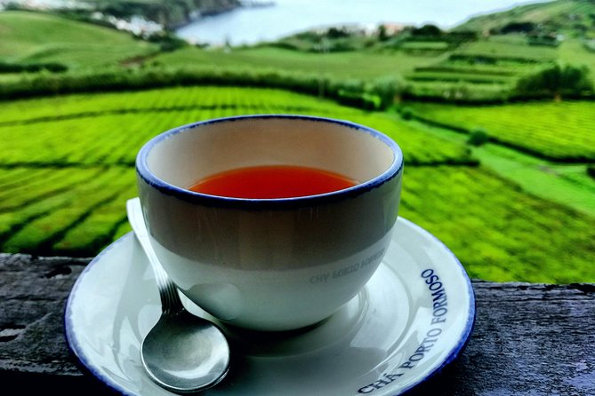 Full Day Jeep Tour Furnas with lunch (Cozido) and drinks included - Booking details that matter