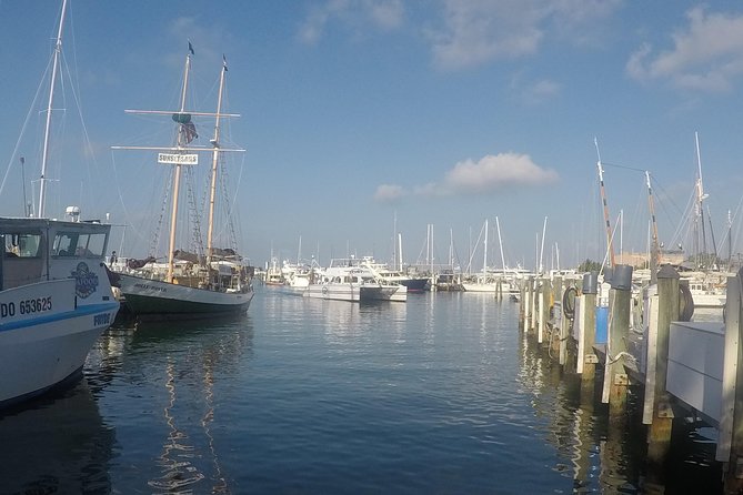 Full-Day Key West Tour and Coral Reef Snorkeling with Open Bar - Snorkeling can be excellent, or a rough hour in the sea
