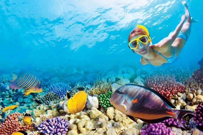 Full-Day Key West Tour and Coral Reef Snorkeling with Open Bar - Reaching Key West around 11:30 a.m.