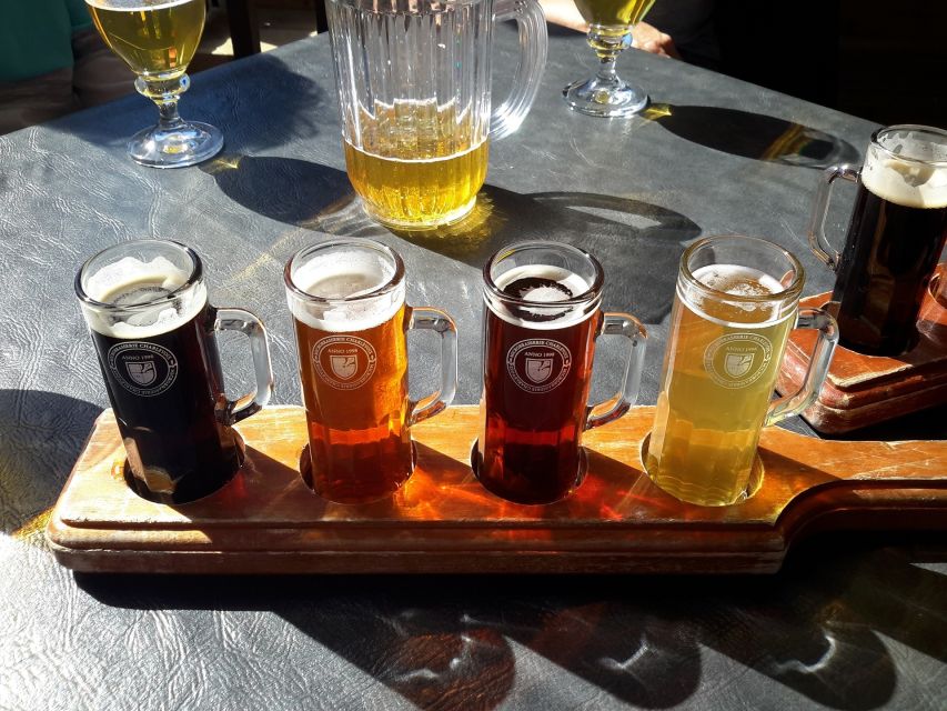 Gdansk: Polish Beer Tasting Tour - Who will enjoy this beer tour most?