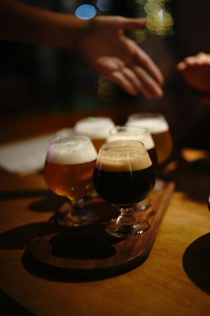 Gdańsk: Polish Craft Beer Tasting (6 Samples, 1.5 Hours) - Who should book this Gdańsk tasting?