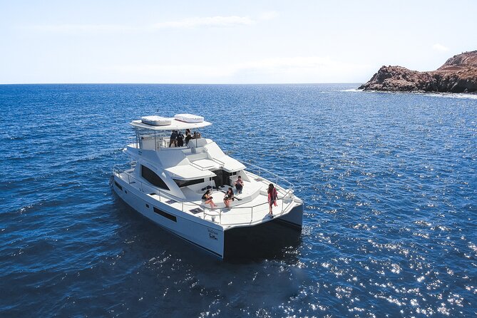 Half Day Cabo Snorkel Adventure with Lunch and Open Bar - First bay: your main chance to snorkel