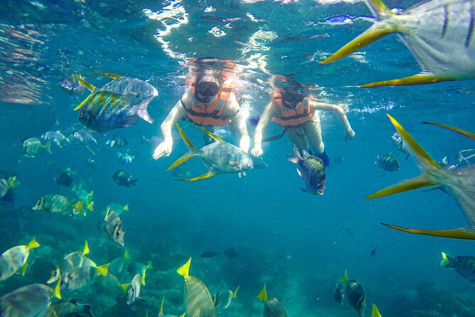 Half Day Cabo Snorkel Adventure with Lunch and Open Bar - Lunch, open bar, and the return along Land’s End