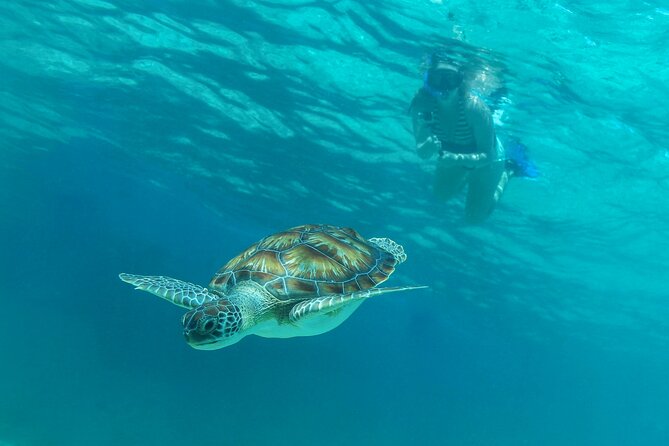 Half-Day Luxury Sailing Experience in Tulum with Open Bar - Paddleboards and downtime between activities
