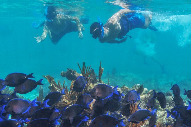 Half-Day Luxury Sailing Experience in Tulum with Open Bar - Who should book this sailing day