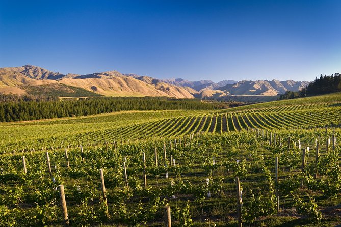 Half-Day Marlborough Wine Tour & Beer Tour - Allan Scott adds another food-friendly stop
