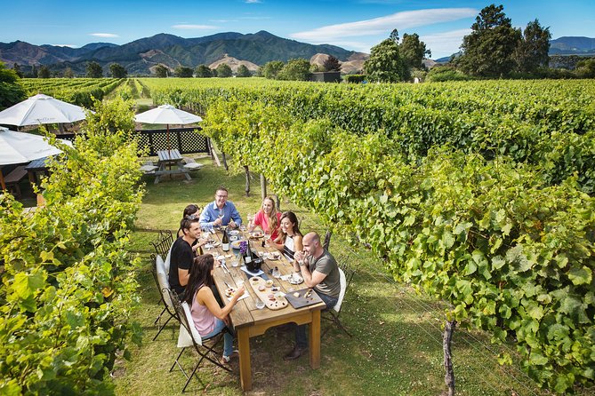 Half-Day Marlborough Wine Tour & Beer Tour - Your guide can make or break the afternoon