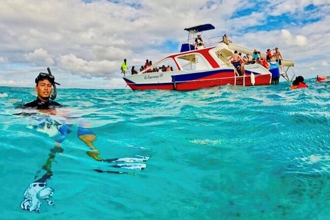 Half-Day Private Party Boat and Snorkeling in Punta Cana - Snacks, Drinks, and the Food Question