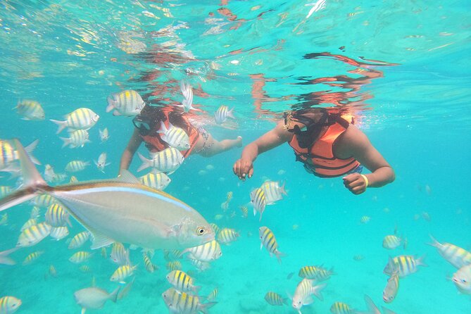 Half-Day Private Party Boat and Snorkeling in Punta Cana - Should You Book This Punta Cana Cruise?