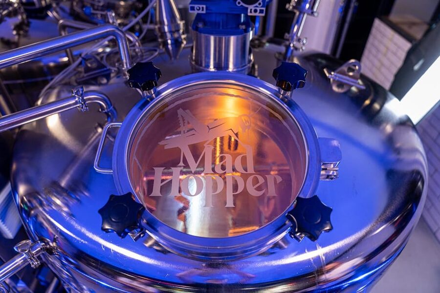 Helsinki: Brewery Tour at Mad Hopper Brewing Company - Final Call: A Smart Short Stop in Helsinki
