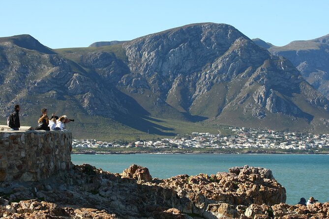 Hermanus Land based Whale Tour with Dave de Beer - Why Hermanus works so well for shore-based whale watching