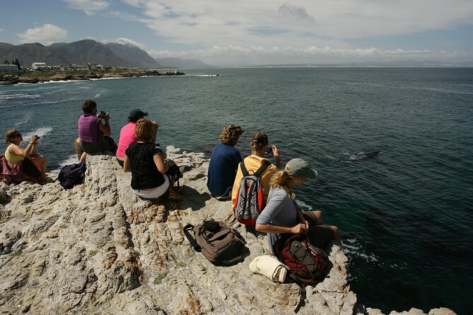 Hermanus Land based Whale Tour with Dave de Beer - Walking the 15-meter-high Hermanus cliff path