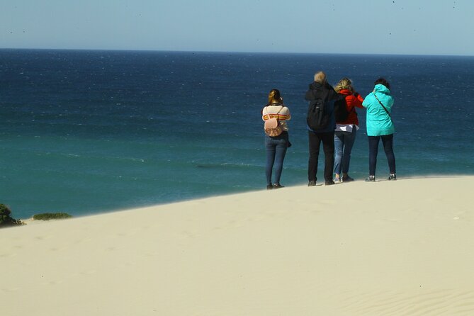 Hermanus Land based Whale Tour with Dave de Beer - Who should book this Hermanus whale tour