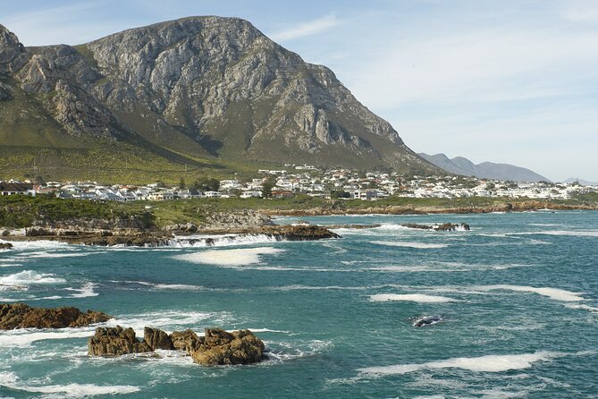 Hermanus Land based Whale Tour with Dave de Beer - Starting at the Whale House Museum