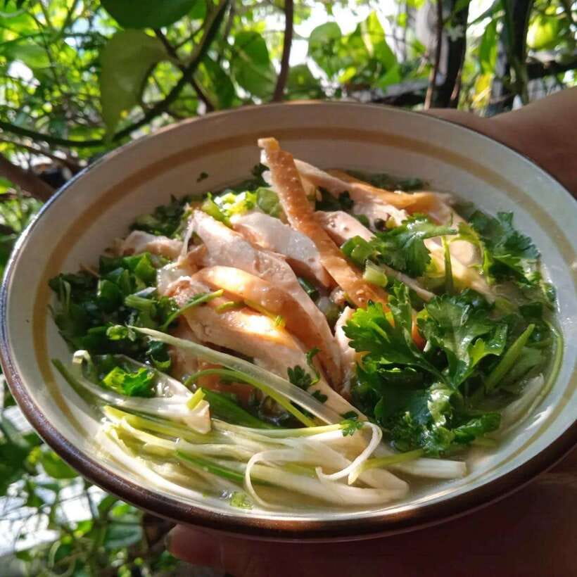 Ho Chi Minh: Tasty Vegan Food and local Beer by Motorbike - Fresh rolls, crispy pancakes, and plenty of herbs