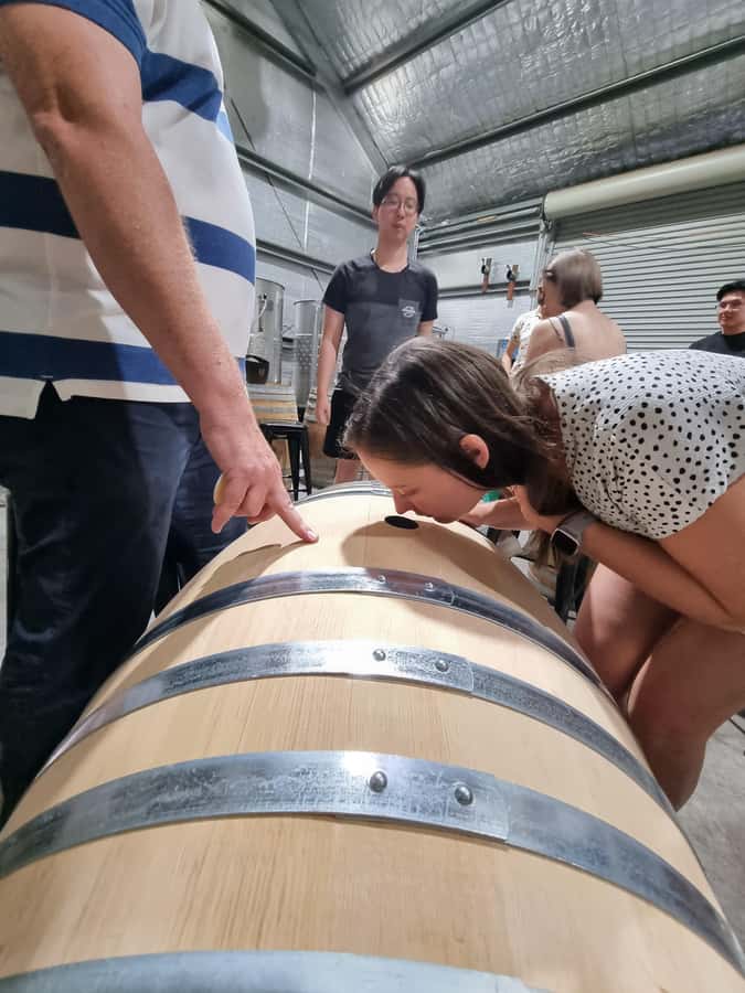 Hunter Valley: Beer & Wine Group Tour - Small groups, local makers, and guide style