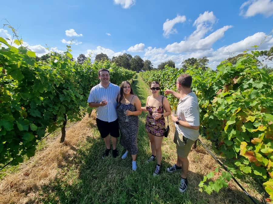 Hunter Valley: Beer & Wine Group Tour - Starting around Pokolbin