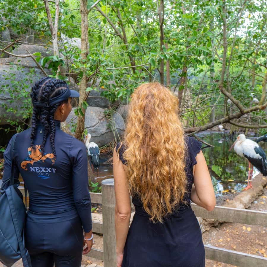 Isla Barú: Beach Club Access and Tour of the National Aviary - Key points to know before booking
