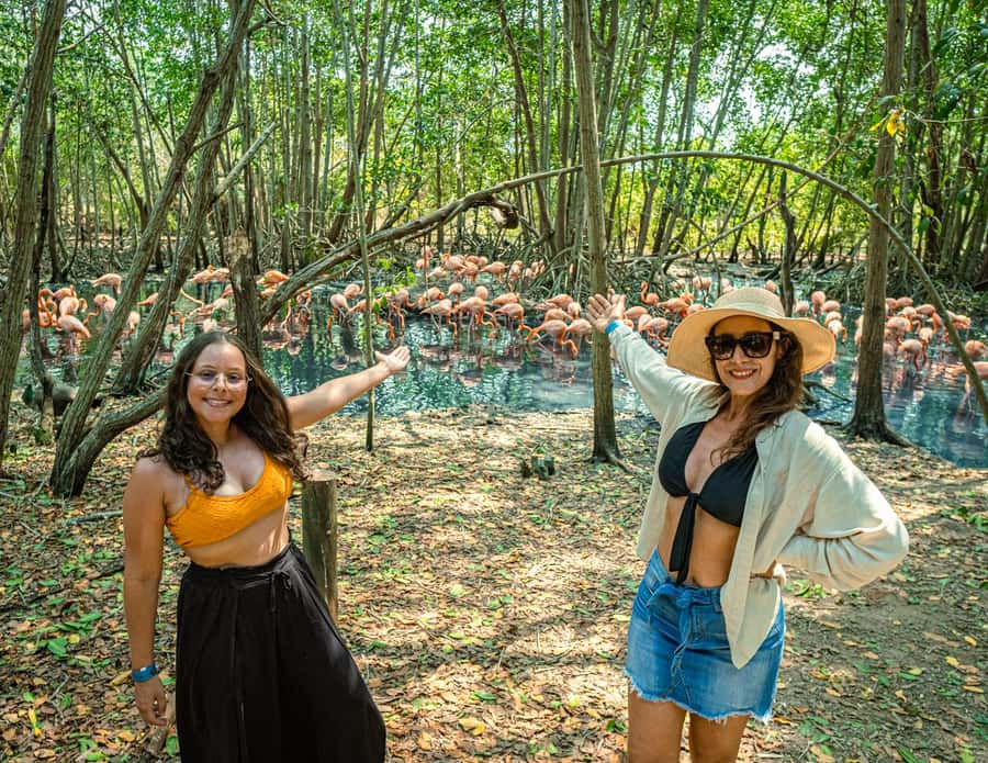 Isla Barú: Beach Club Access and Tour of the National Aviary - Why this Barú combination works