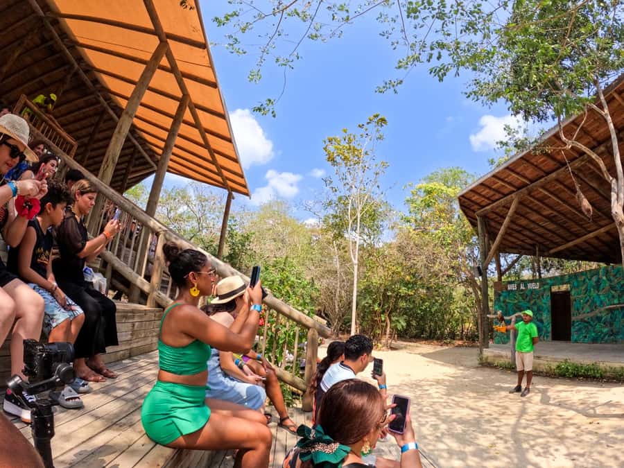 Isla Barú: Beach Club Access and Tour of the National Aviary - Inside the National Aviary of Colombia