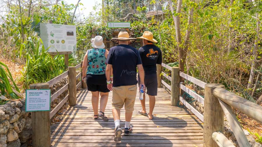 Isla Barú: Beach Club Access and Tour of the National Aviary - The return to Cartagena can shape your day