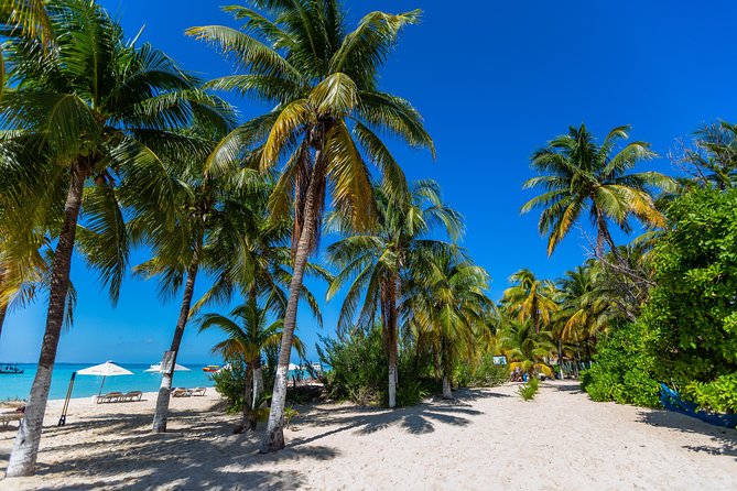 Isla Mujeres Catamaran, Open Bar & Optional Buffet and pick up - Snorkeling at El Meco reef