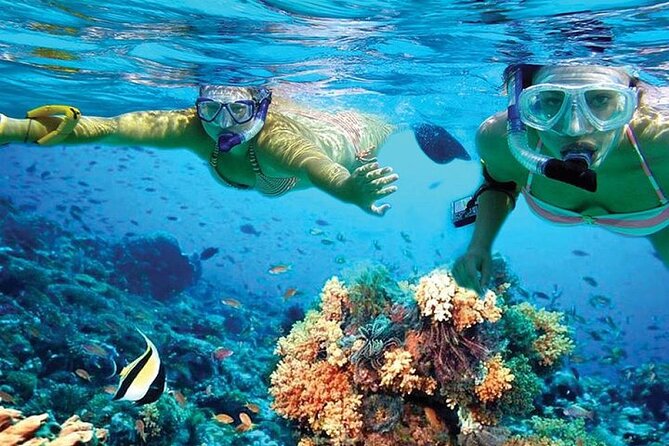 Isla Mujeres Catamaran, Open Bar & Optional Buffet and pick up - Beach-club time, buffet lunch, and the package differences